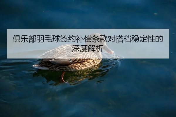 俱乐部羽毛球签约补偿条款对搭档稳定性的深度解析 - IM Esports
